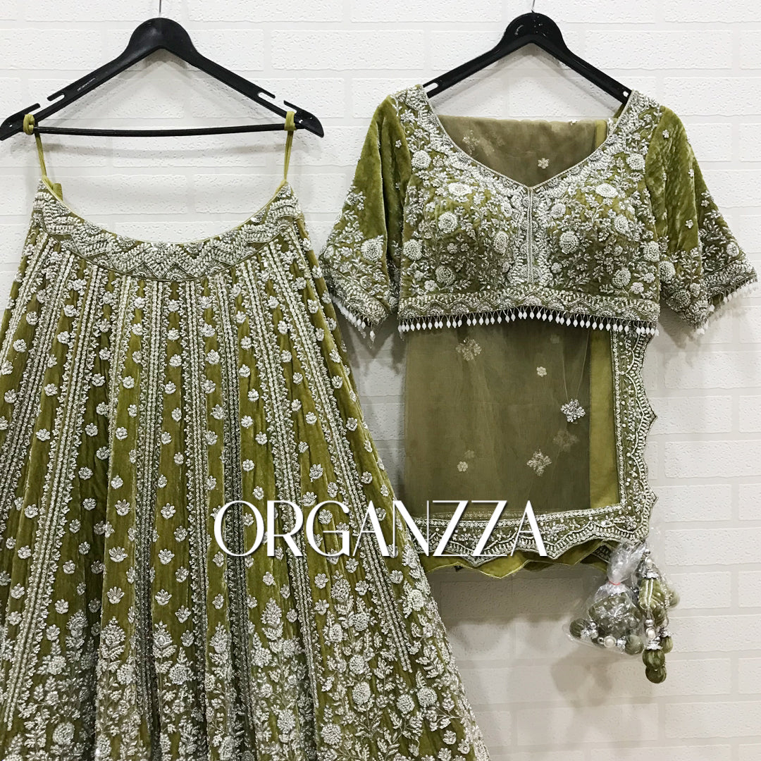 Olive Enchantment