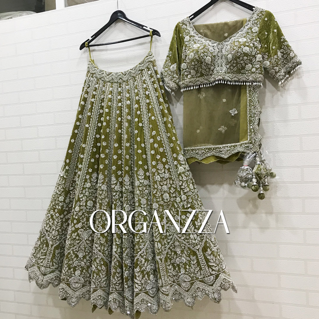 Olive Enchantment