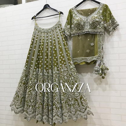 Olive Enchantment