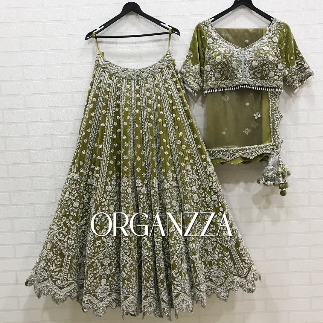 Olive Enchantment