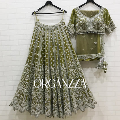 Olive Enchantment