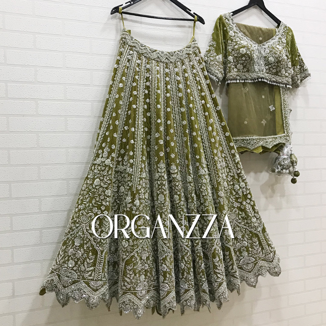 Olive Enchantment