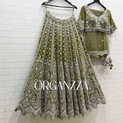 Olive Enchantment