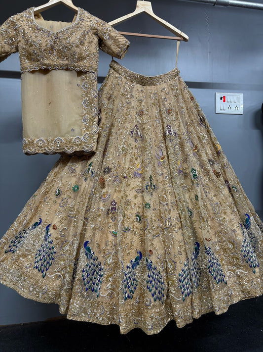 Traditional Peacock Bridal Lehnga with a top and skirt on hangers against a dark background